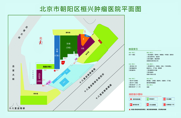 操逼大片免费观看北京市朝阳区桓兴肿瘤医院平面图